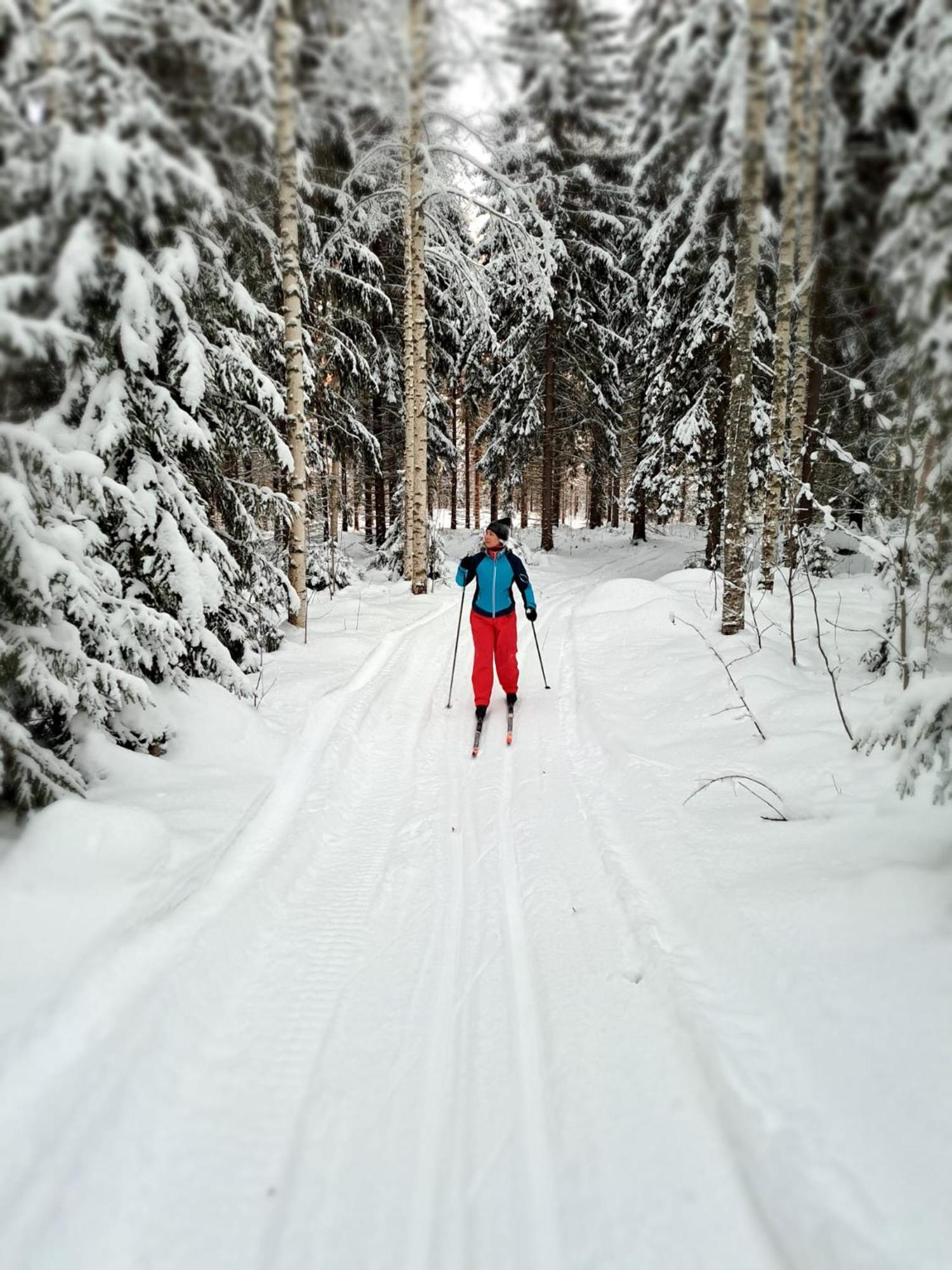 Vaelituvan Lomamoekit Punkaharju Exterior foto